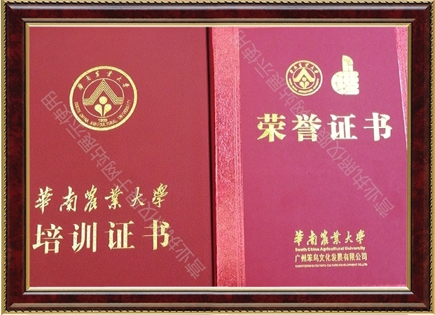 胡雪雁“農(nóng)大培訓結(jié)業(yè)證書”