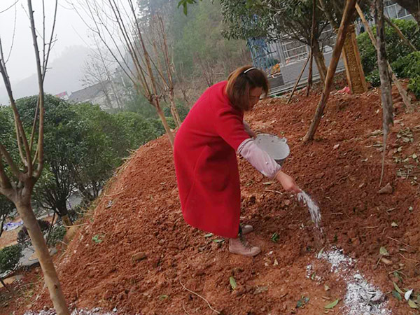 通道污水處理廠綠化工程施工中 (7)